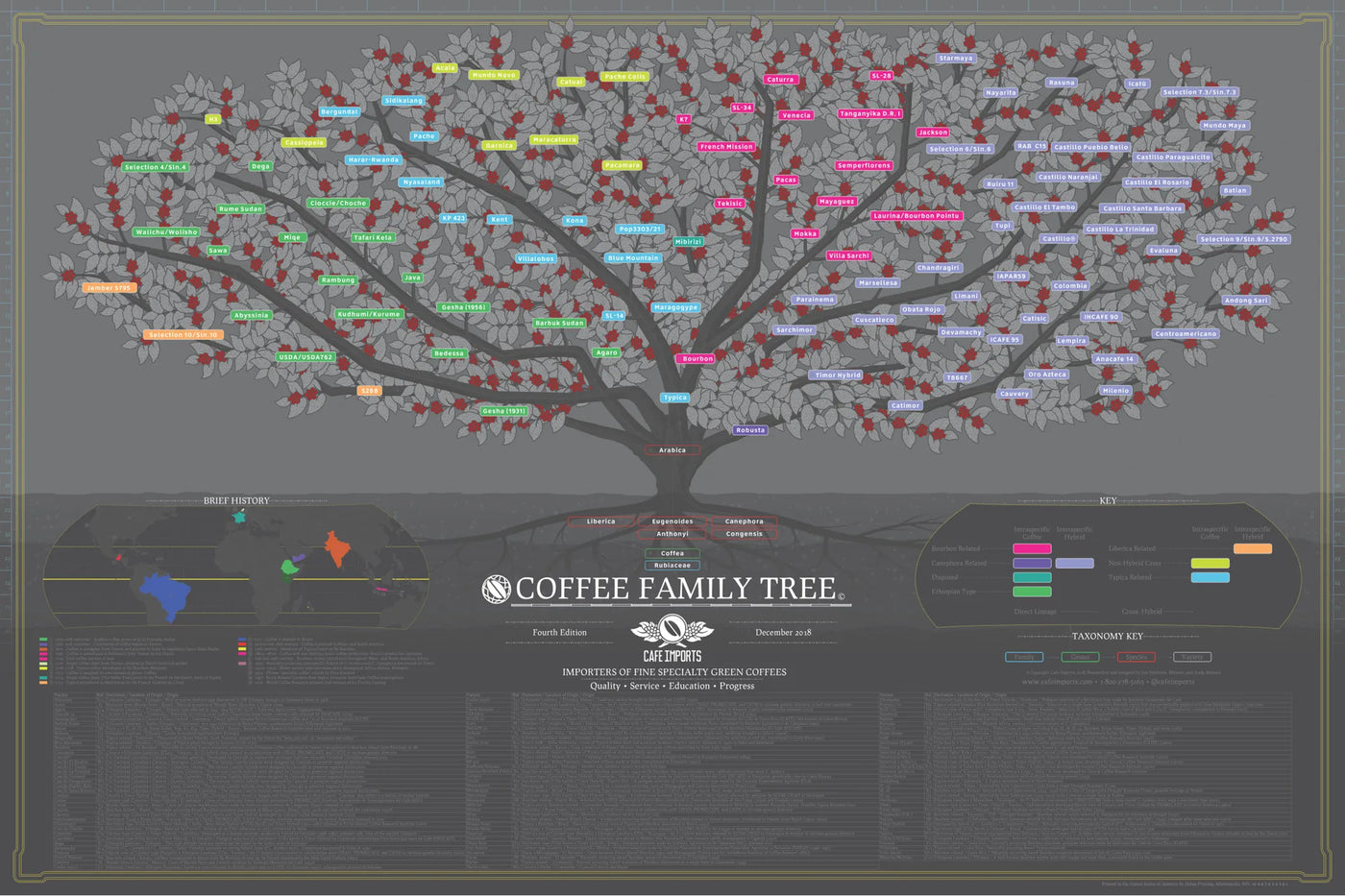 elyna-specialty-coffee-family-tree