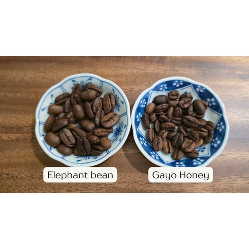 Exploring the Rich Flavors of Gayo Coffee