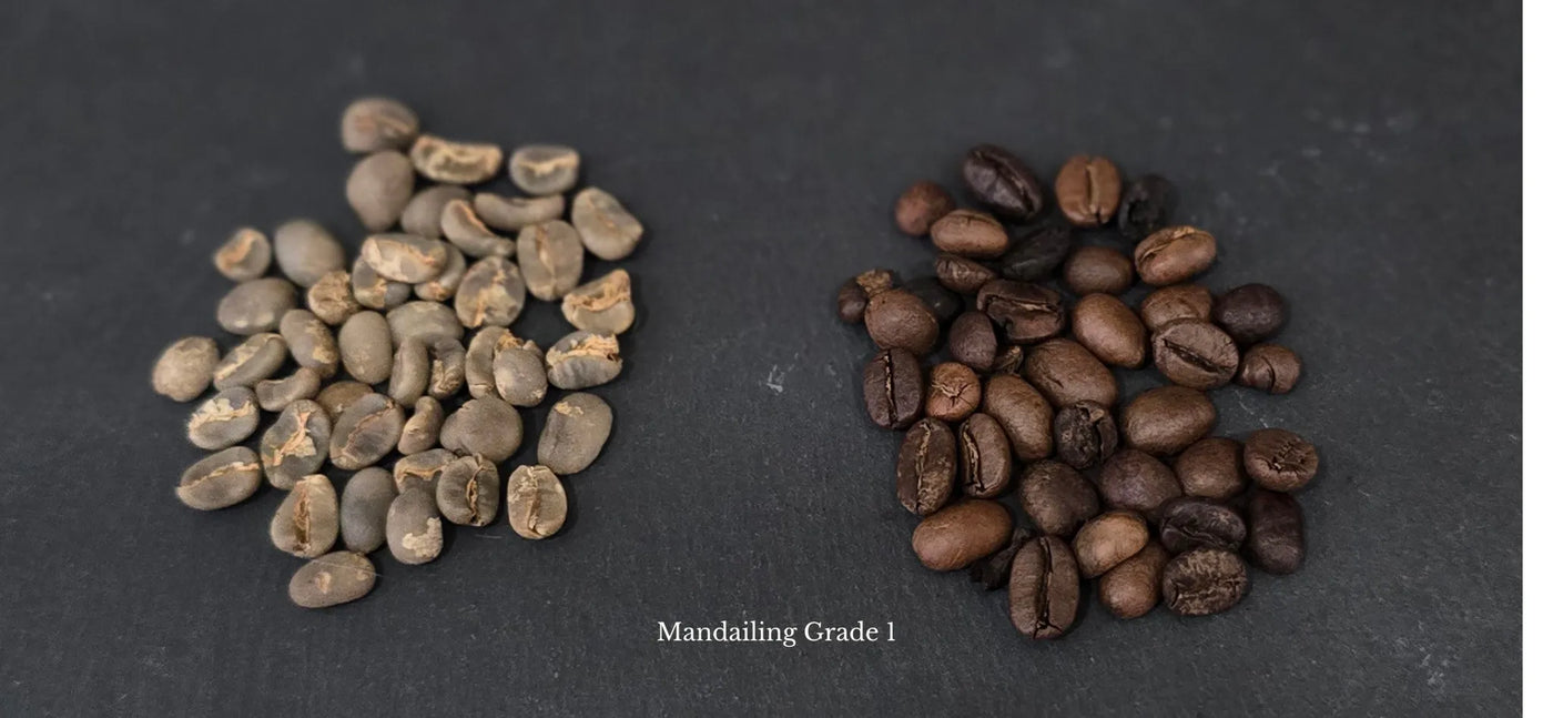 Specialty Grade 1 Coffee