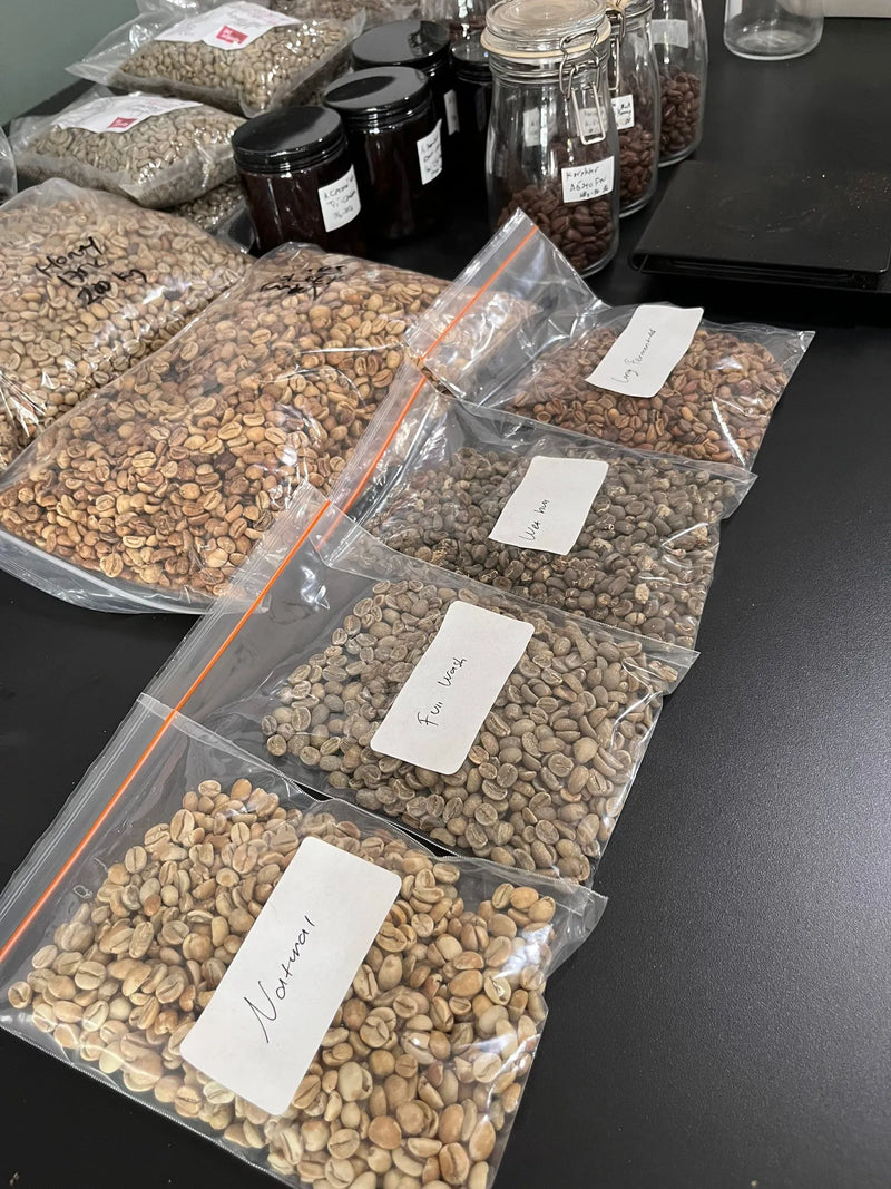 From Farm to Roast: How Indonesian Coffee Is Grown, Processed, and Perfected