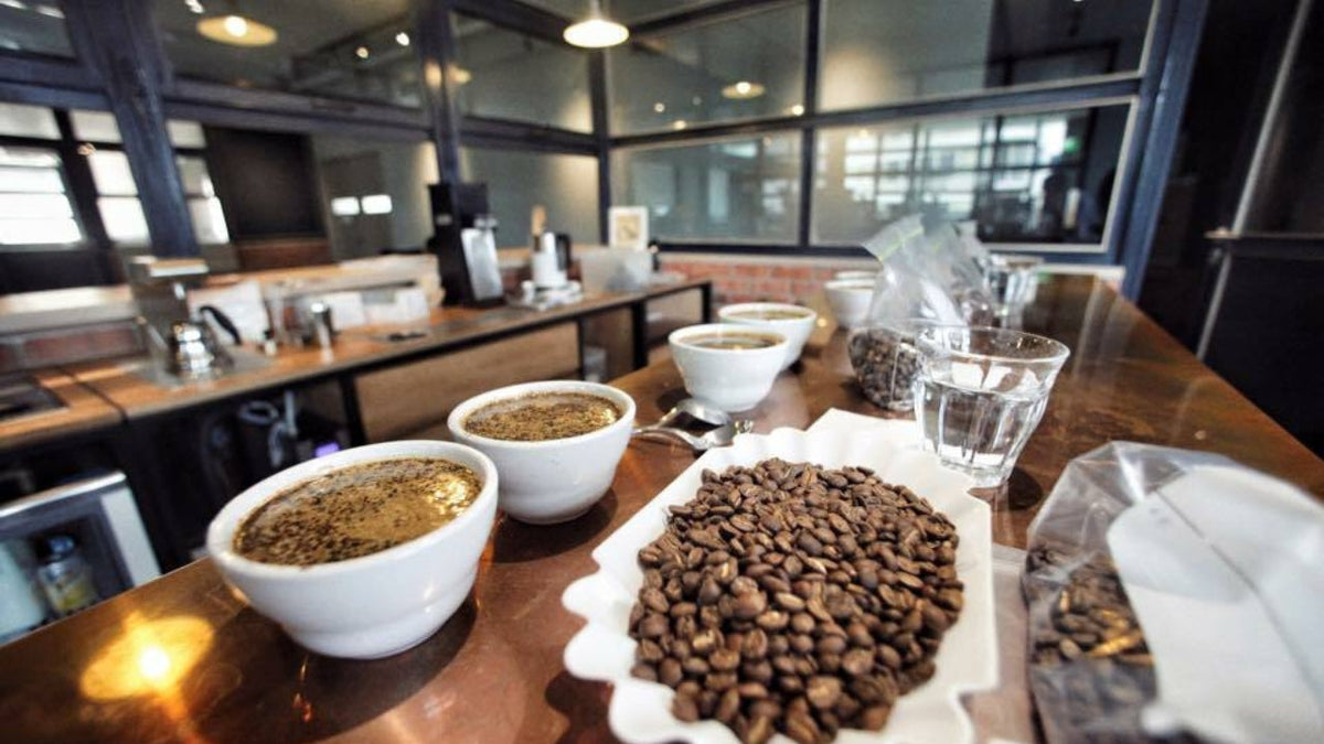 2026 coffee Collection