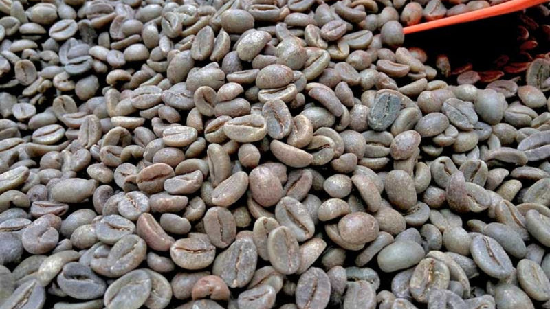 Unroasted Coffee Beans