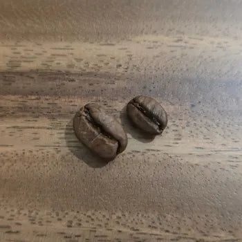 Gayo – Maragogype - Sumatera  (Special Edition)