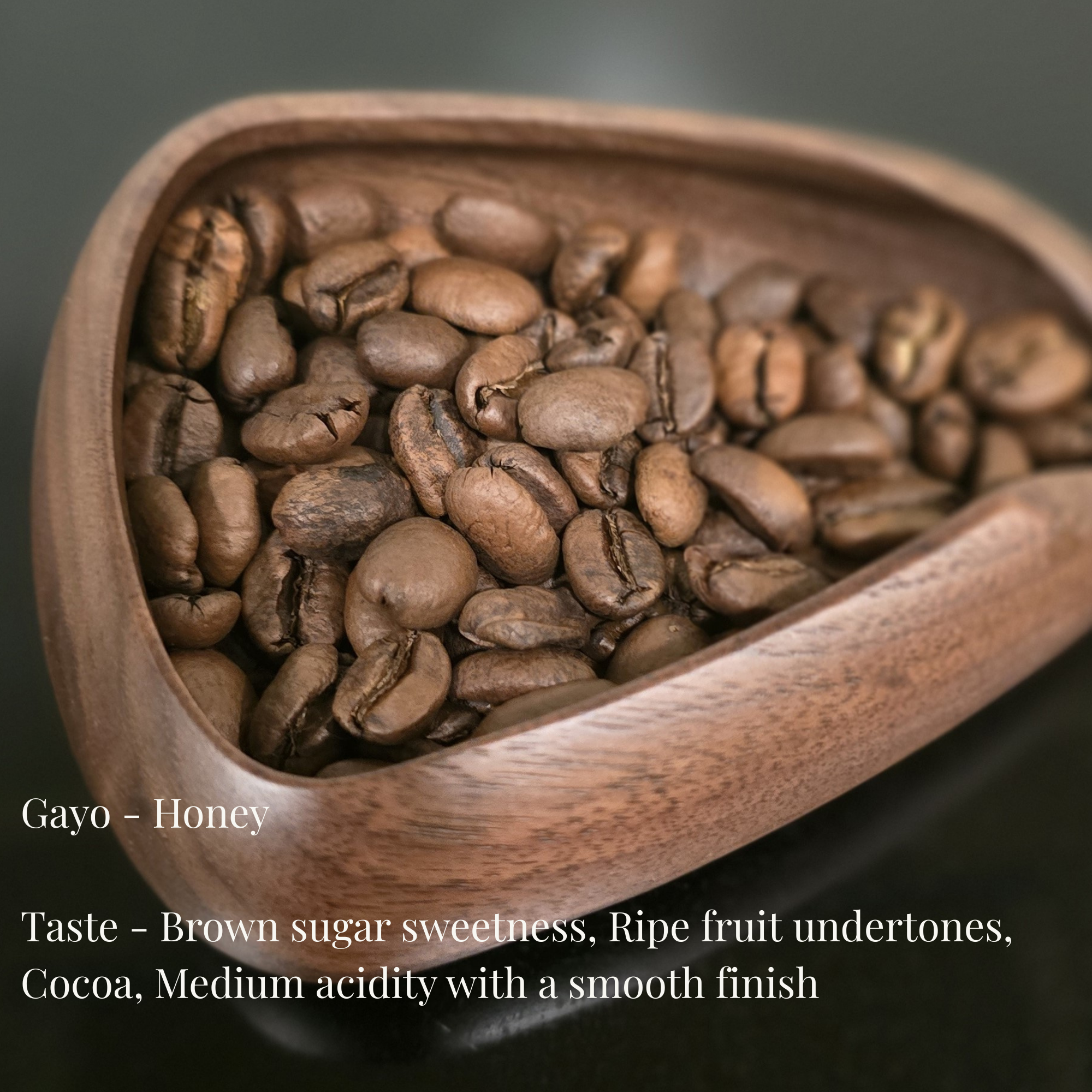 Gayo - Sumatera Single Origin Coffee – Full Wash (Arabica)