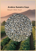 Round coffee bean sample with 'Arabica Sumatra Gayo Wash Wet Hull' text against a scenic background.