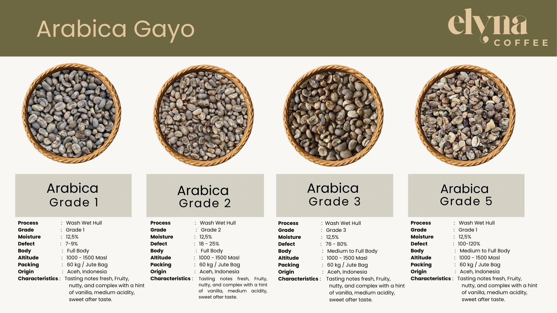 Elyria Coffee Arabica Gayo coffee beans with grading information on a green background