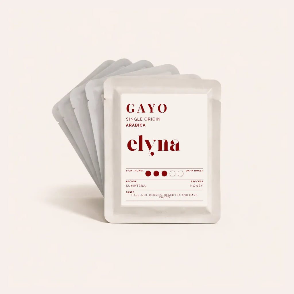 GAYO elyna coffee drip bag packaging with taste notes