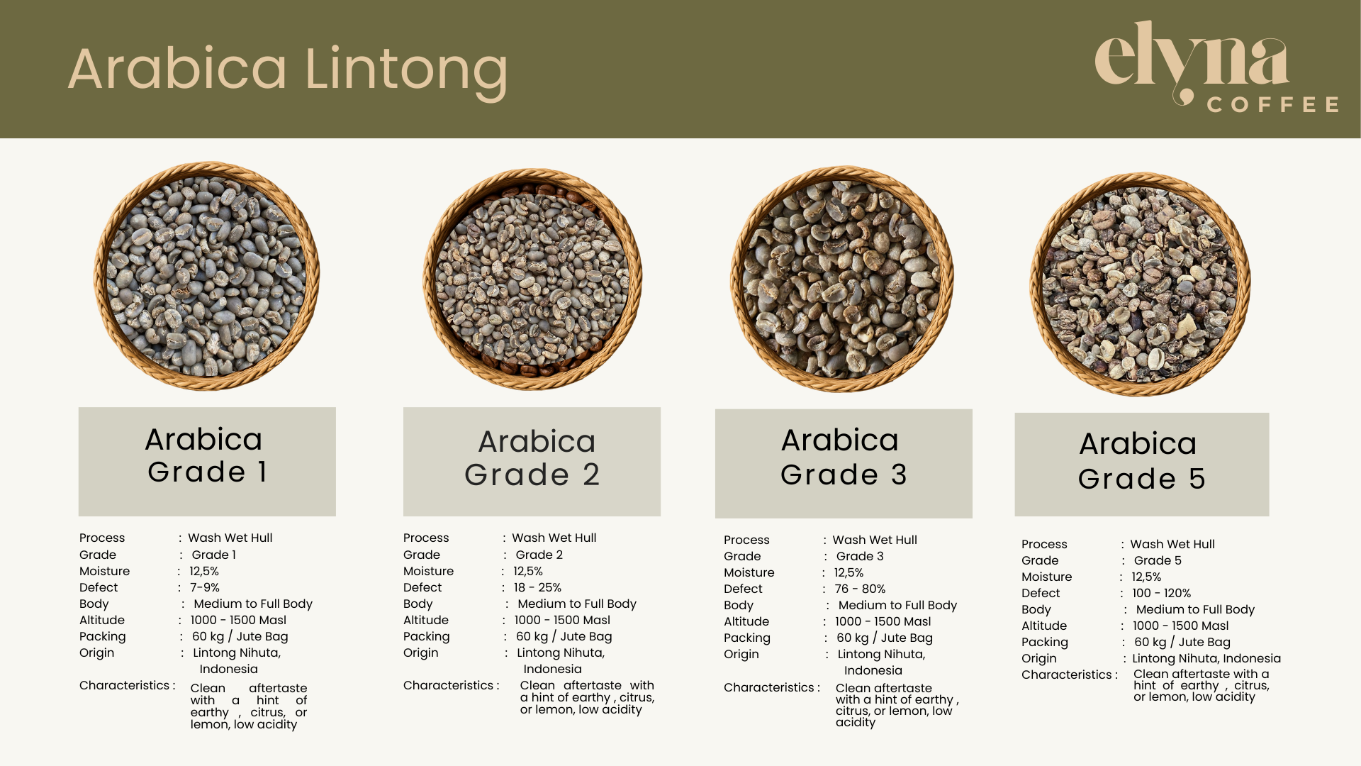 Wholesale - Sumatra Lintong - Arabica Green Beans