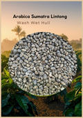 Wholesale - Sumatra Lintong - Arabica Green Beans