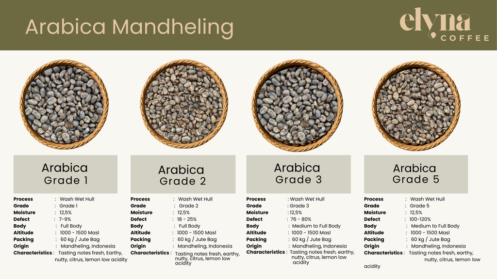 Wholesale - Sumatra Mandheling - Arabica Green Beans