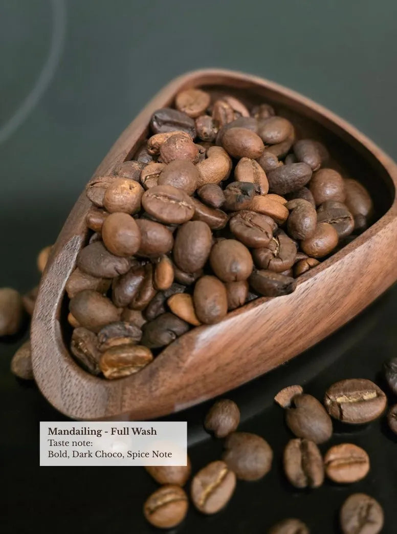 Mandailing full wash coffee beans in wooden scoop — bold, dark choco, spice note