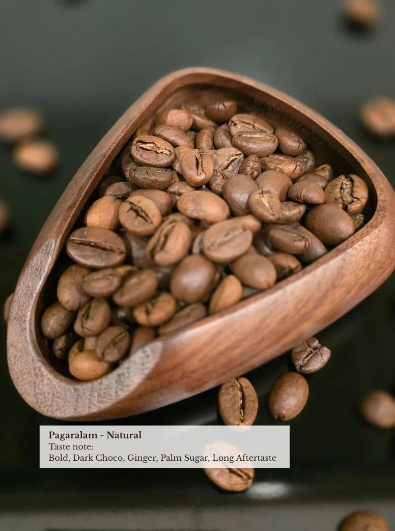 pagaralam coffee beans natural in Wooden scoop - bold, dark choco, ginger, palm sugar, long aftertaste