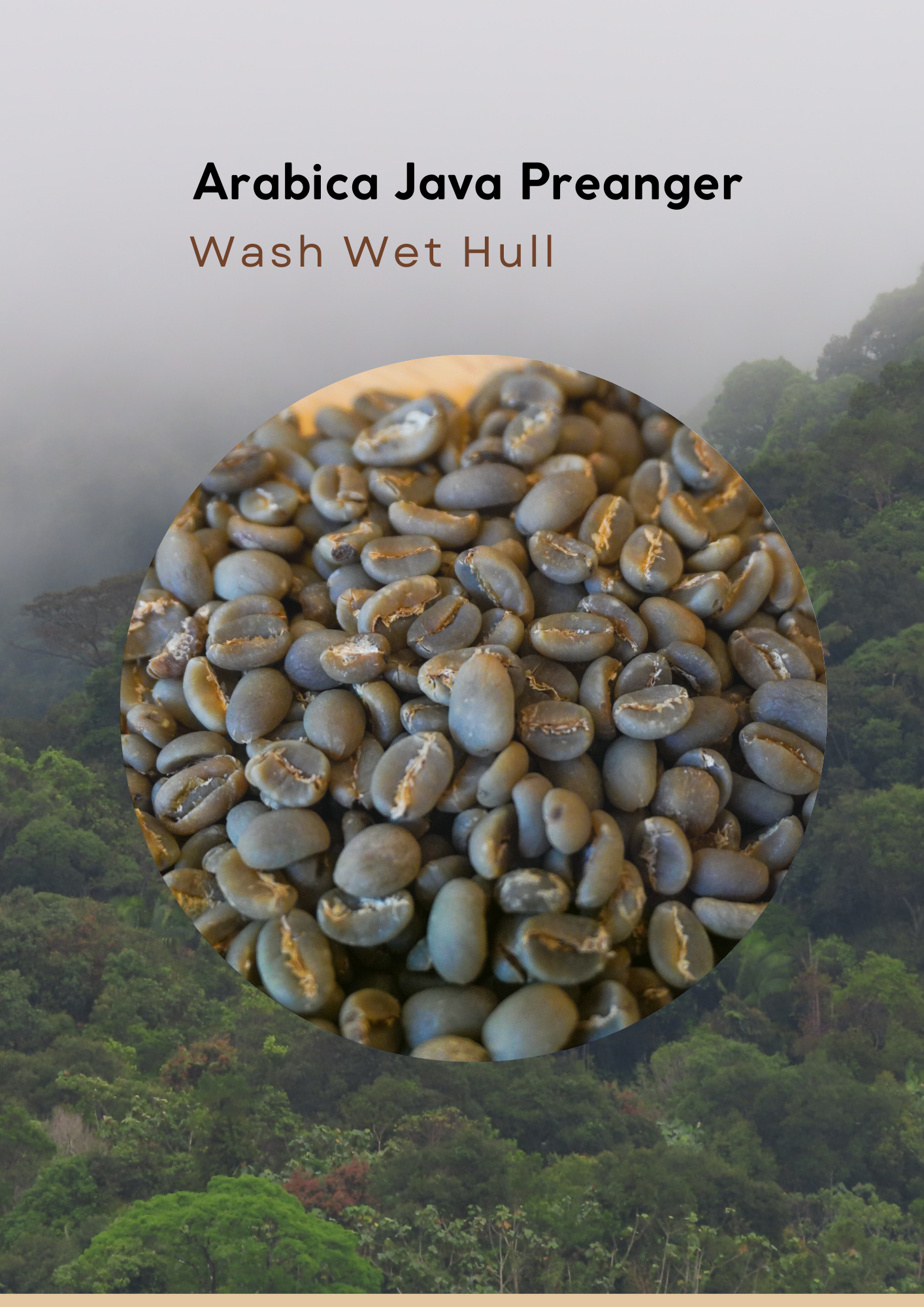 Wholesales - West Java - Robusta Green Beans