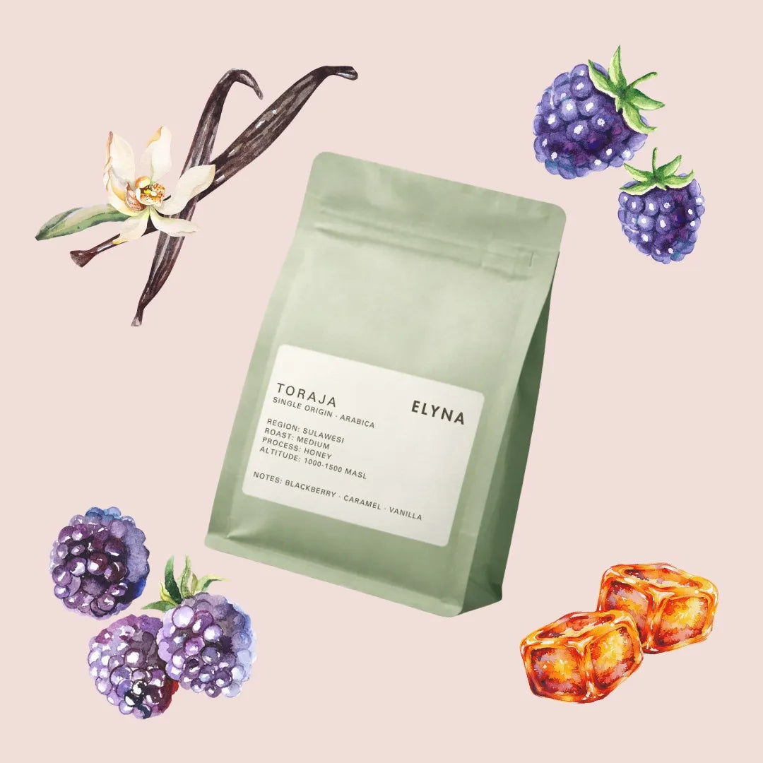 Toraja - Sulawesi - Single Origin Coffee – Honey (Arabica)